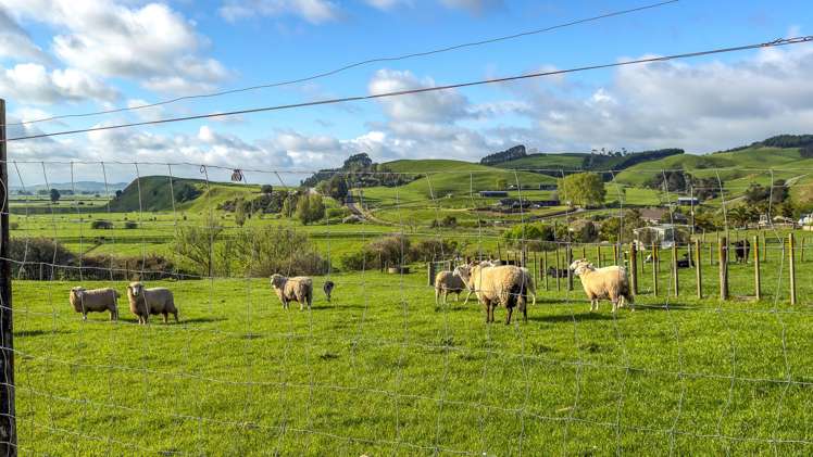 722 Back Miranda Road Miranda_25