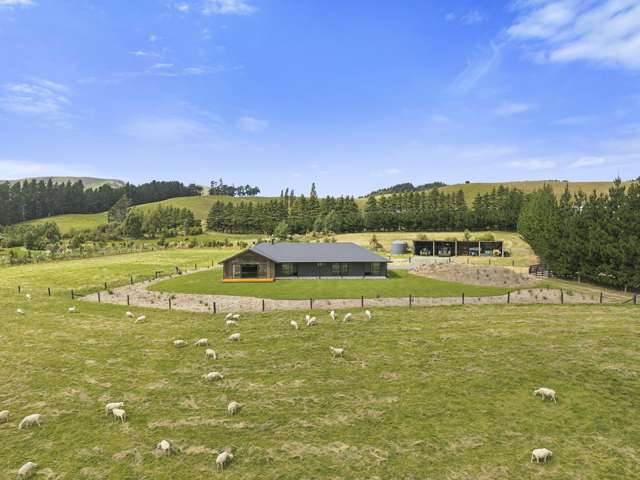 Taste and quality all around