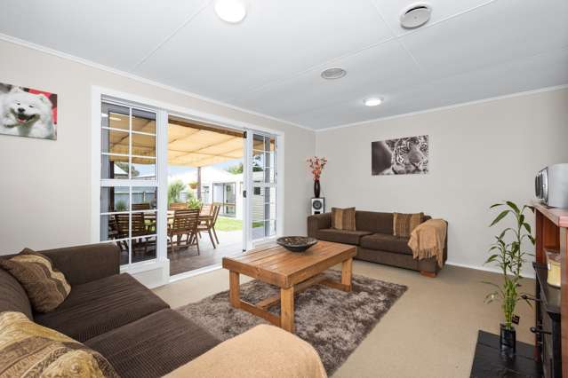 30 Norfolk Street Tamatea_1