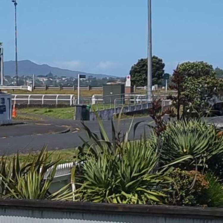 7 Tennyson Street Northcote Point_40