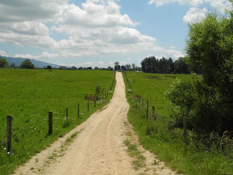 82 Pirongia Road Te Awamutu_9