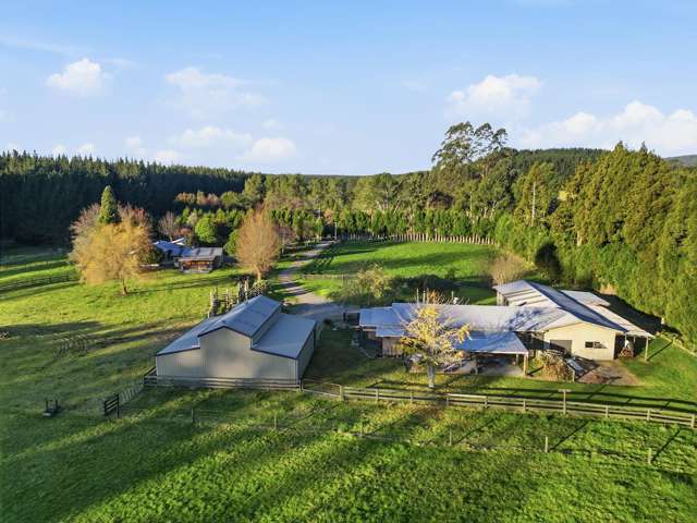 139 Te Puea Road Tikitere_4