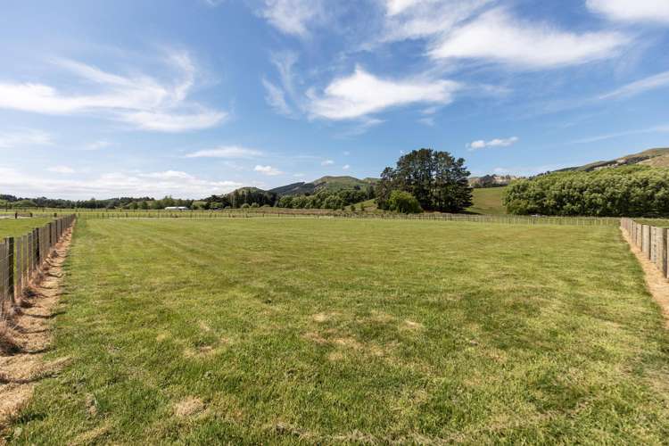 2538 Kahuranaki Road Elsthorpe_14