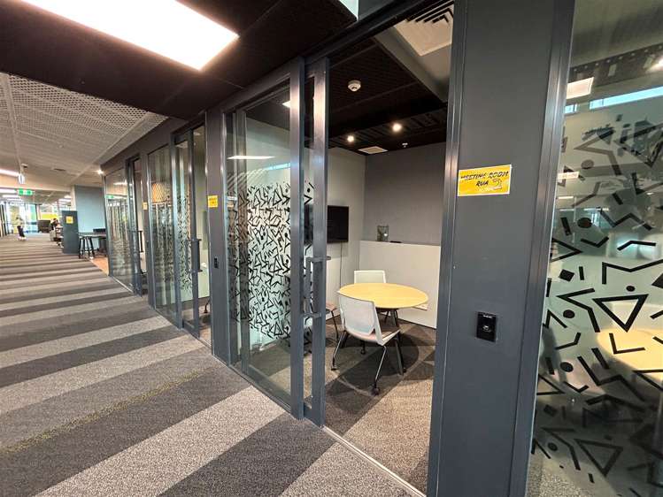 4 Williamson Avenue Ponsonby_8