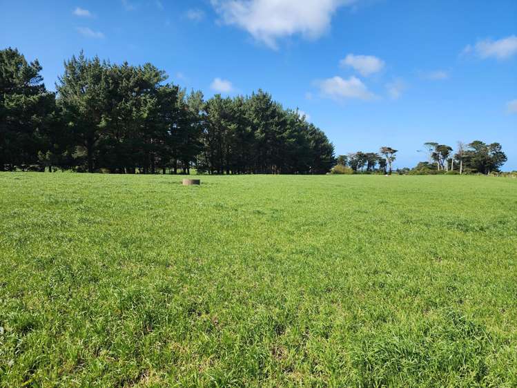 Ahipaipa Road Okaiawa_11