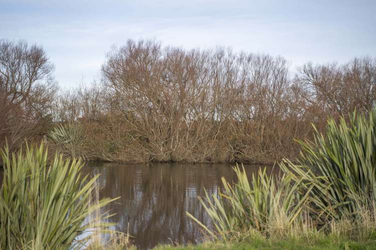 16 Factory Road Thornbury_5