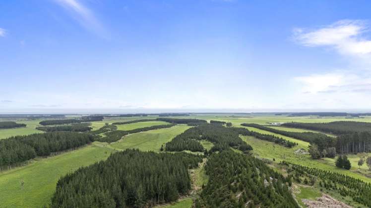 Santoft Road Bulls_6