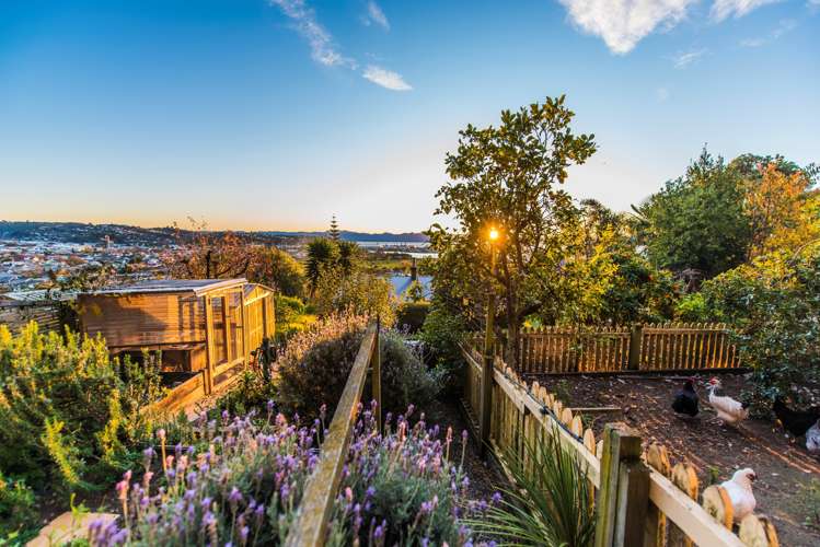 35 Iwa Road The Wood_18