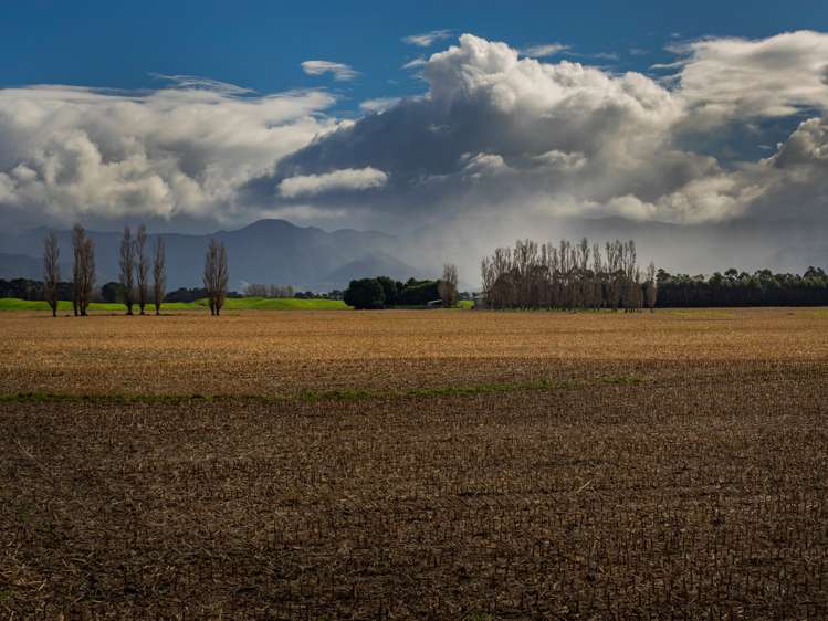 420a Kahutara Road Kahutara_7