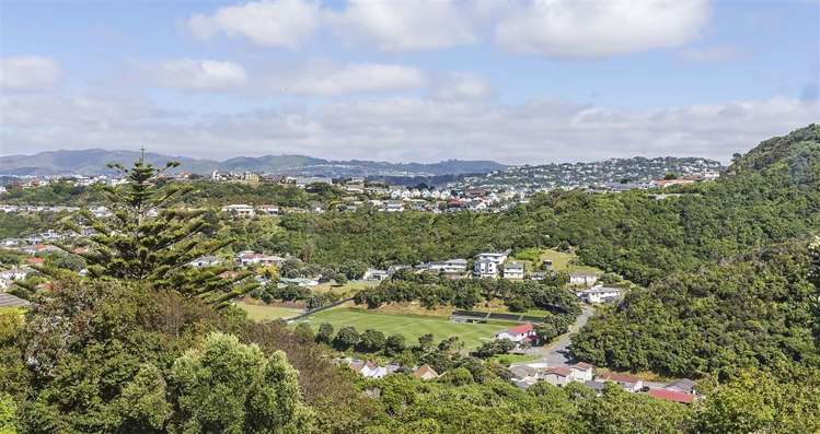 129 Nevay Road Miramar_13