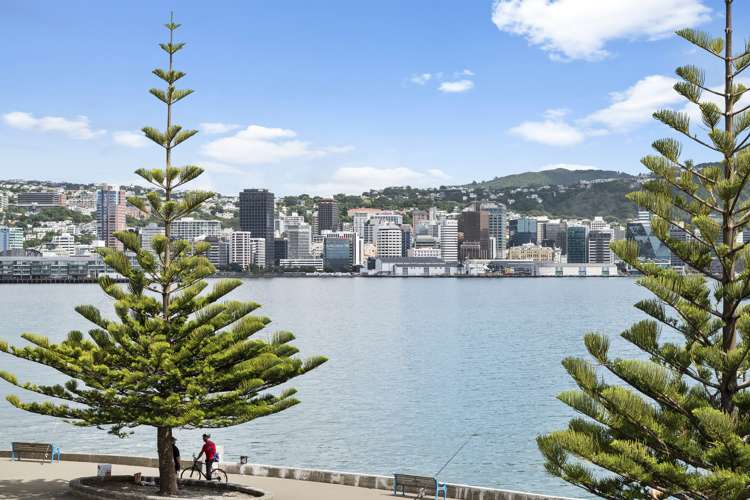 338 Oriental Parade Oriental Bay_9