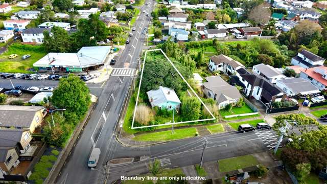 81 Fruitvale Road New Lynn_3