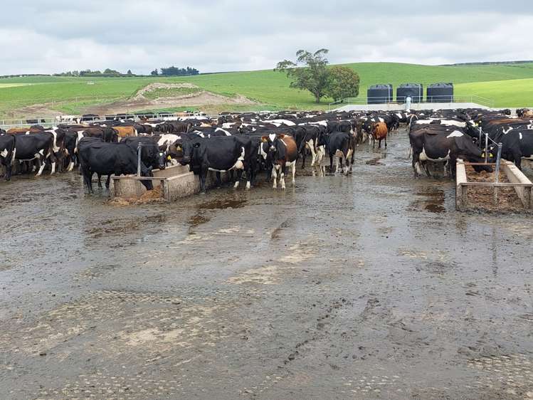 191 Cowans Road Enfield and Surrounds_1