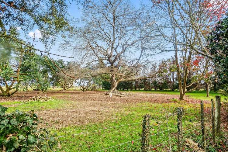 4784 State Highway 12 Kaikohe_31