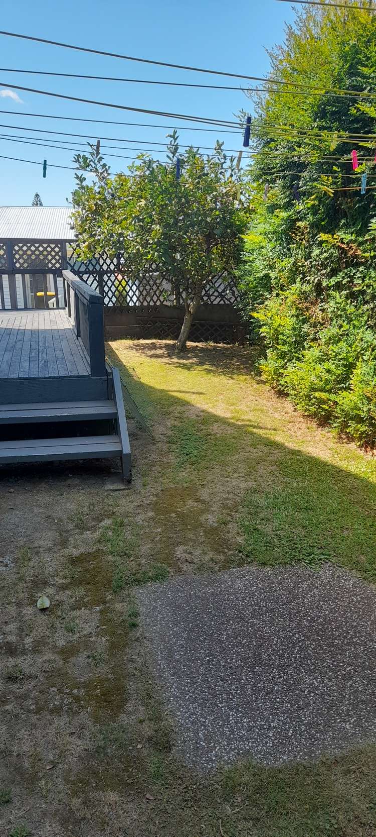 40b Manson Street Gate Pa_6