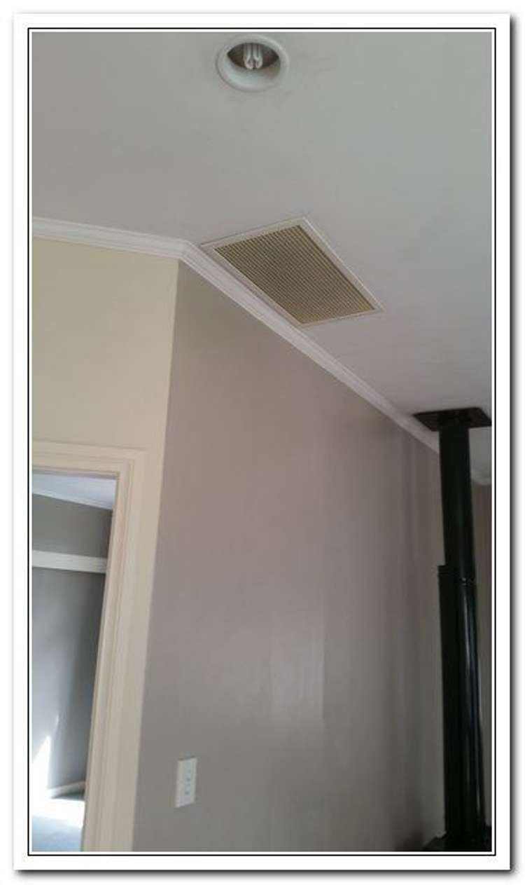 20 Park Avenue Masterton_21