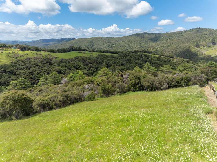 798E Taupo Bay Road Taupo Bay_18