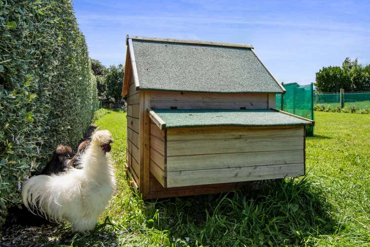 3624 Eltham Road Opunake_9