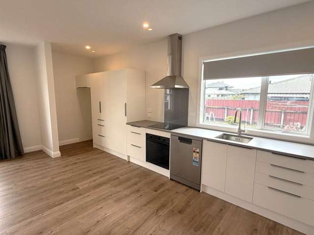 175 Albert Street Hokowhitu_3