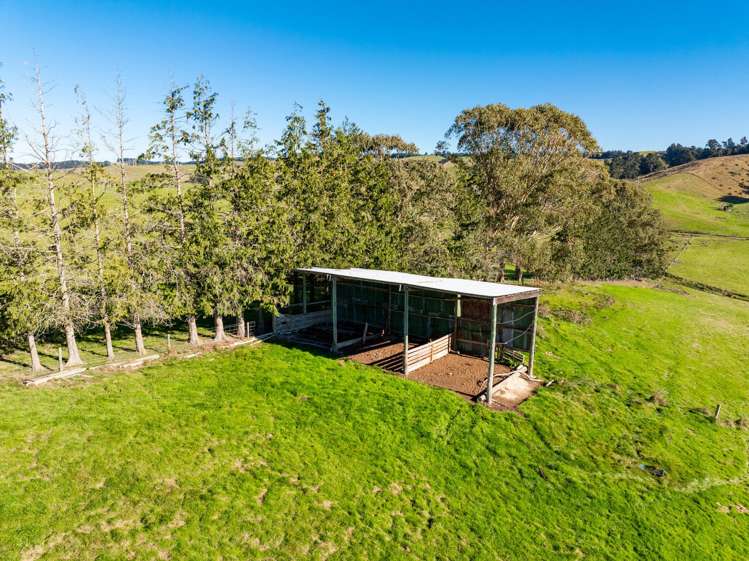 939 Berwick Road Berwick Forest_29