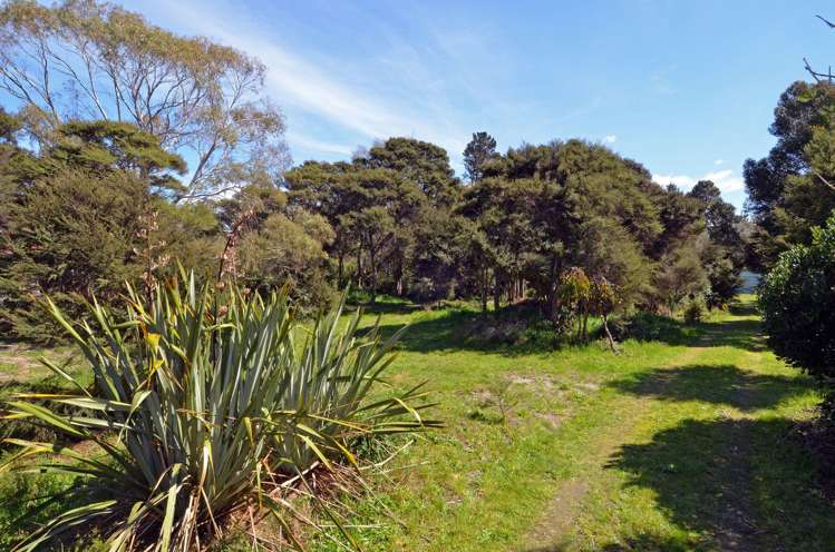 71 Harwood Street Harwood_2