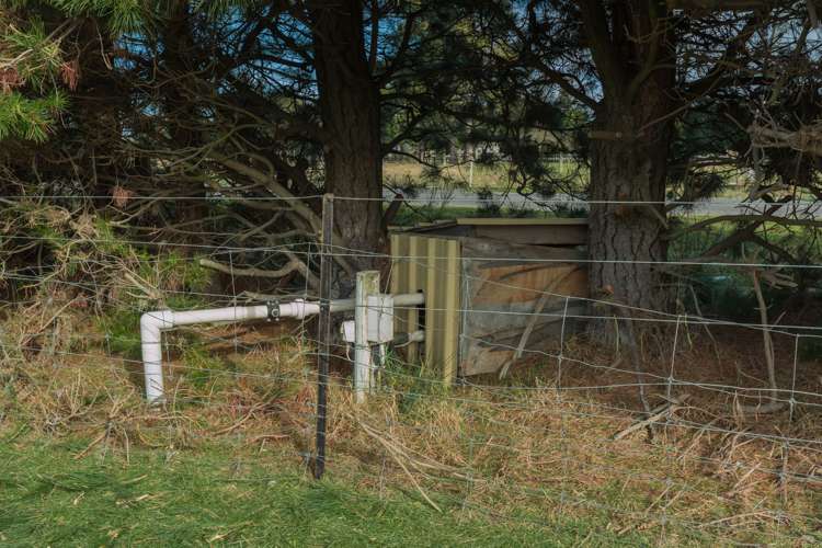 10 Mount Thomas Road Fernside_12