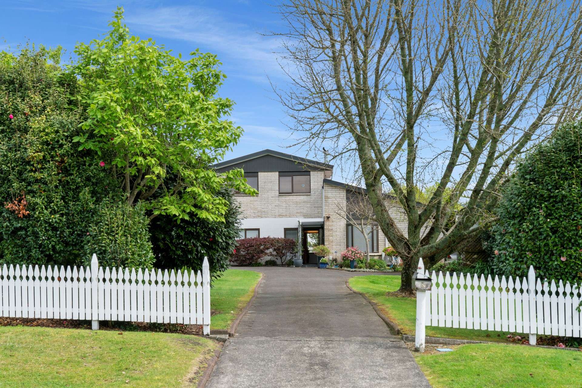 55 Dunlop Road Te Puke_0