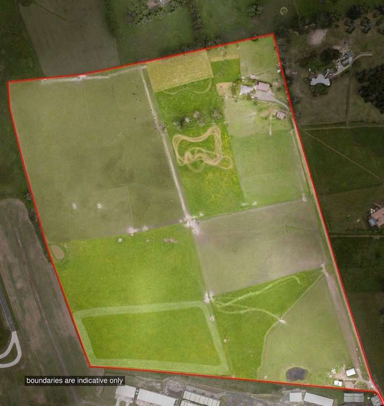 244 Postman Road Dairy Flat_4