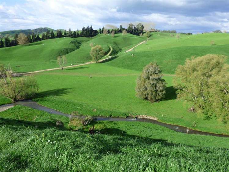 203/219 Paewhenua Road Maihiihi_6