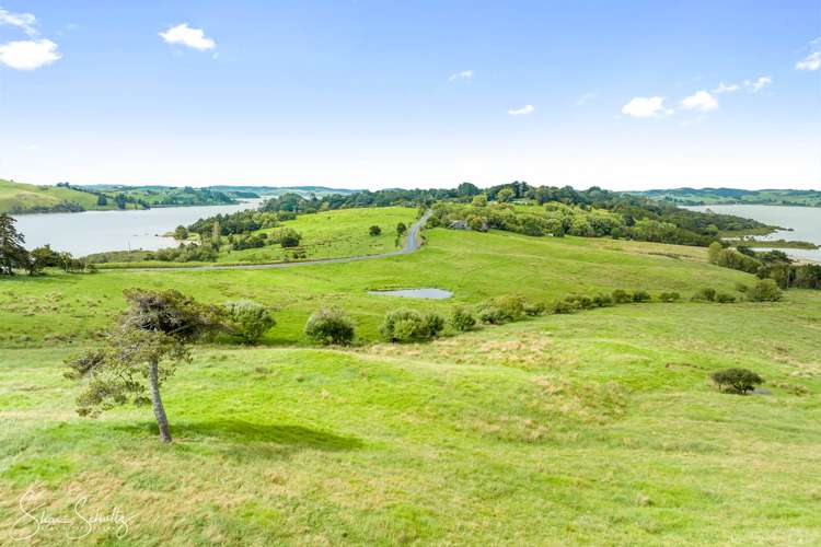 Pahi Road Paparoa_26