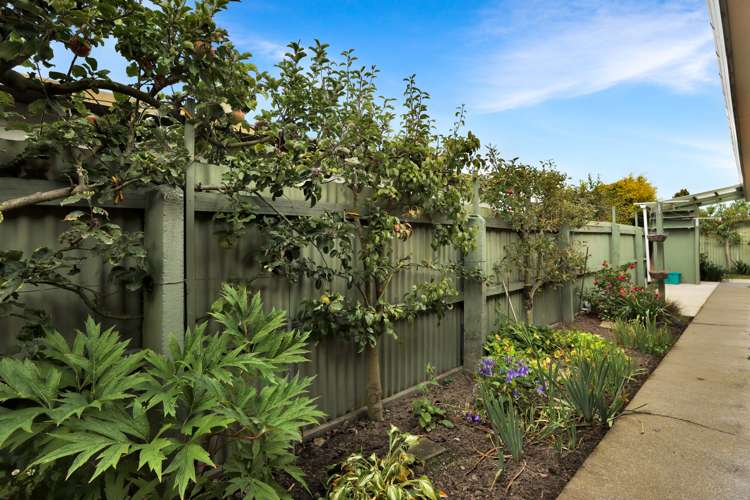 4 Reid Crescent Allenton_28