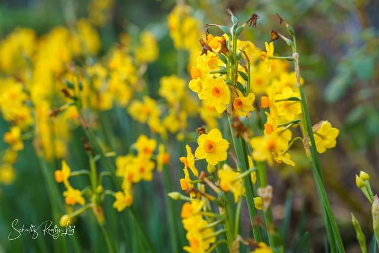 1181 State Highway 12 Maungaturoto_42