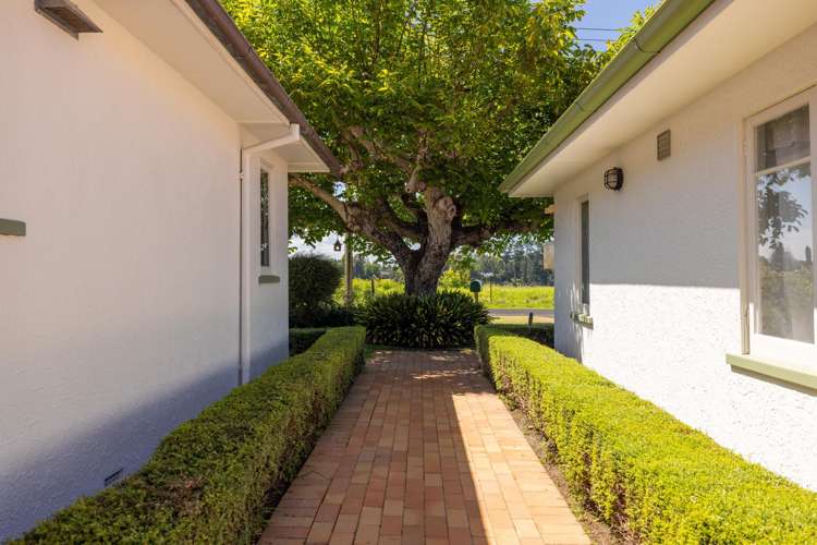 309 Plummers Point Road Whakamarama_21