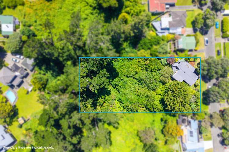 26 Plunket Street Durie Hill_20