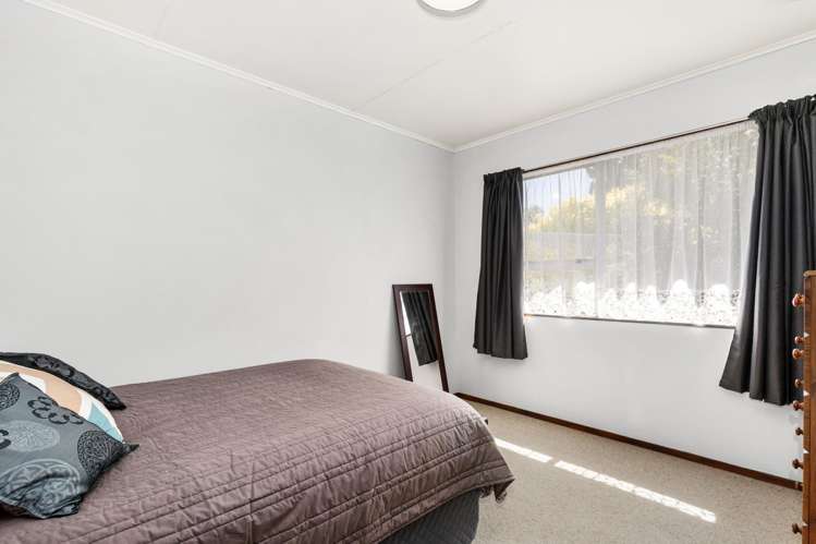 8 Radiata Grove Brown Owl_8