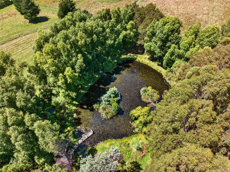 869 Norfolk Road Waingawa_29