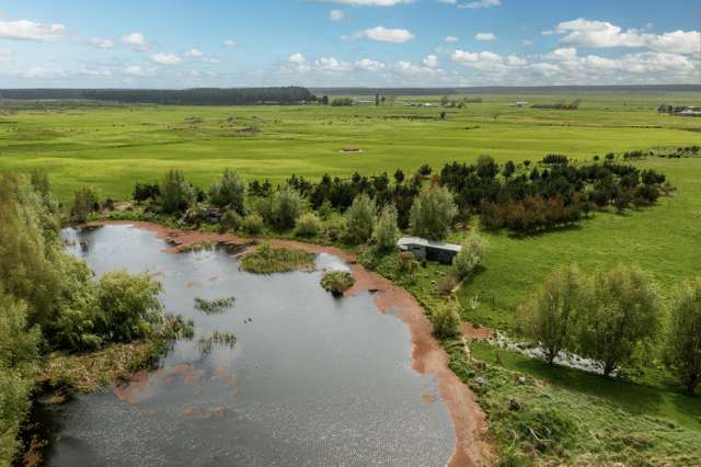 293 Beamish Road Bulls_2