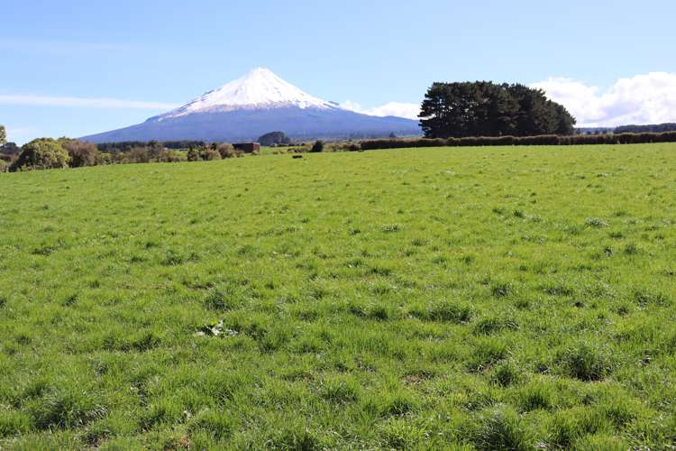 1430 Eltham Road Kaponga_7