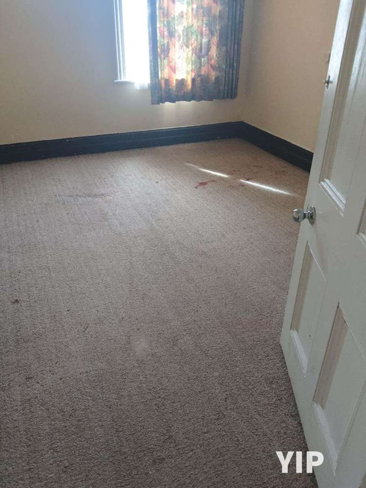 8 Frank Johnson Street Johnsonville_7