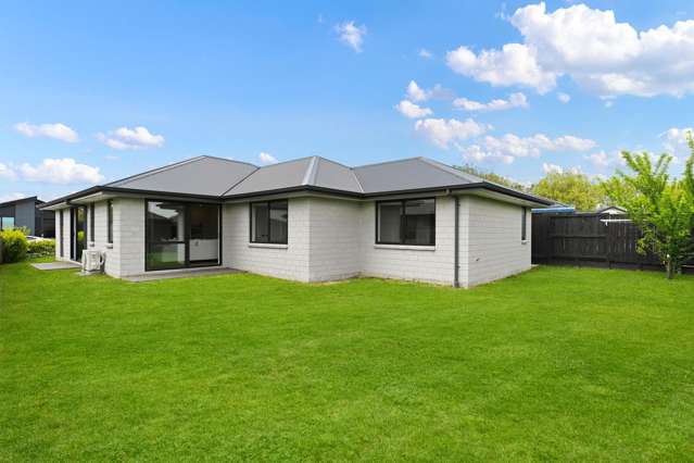 7 Morrin Street Morrinsville_1