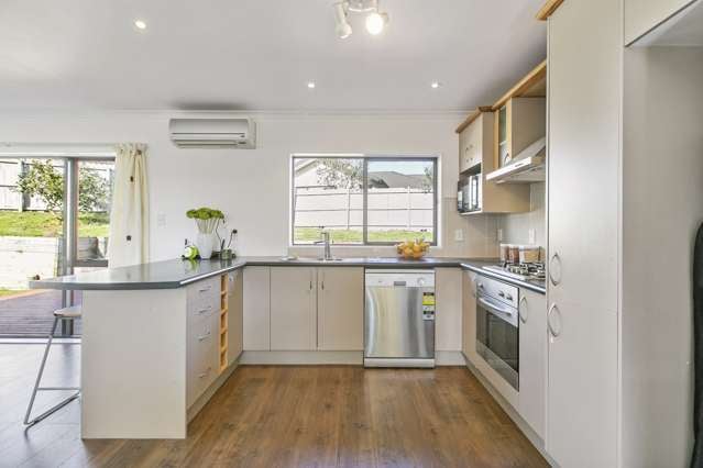 11 Tir Conaill Avenue Flat Bush_1