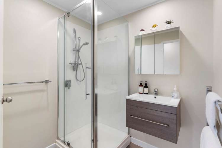 25 Sealy Road Torbay_19