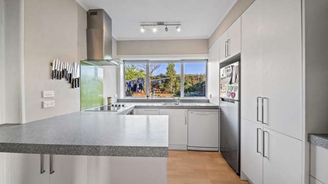 30 Wilkinson Street Liberton_1