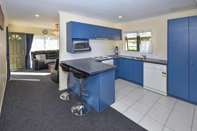 59 Pitt Avenue Clendon Park_3