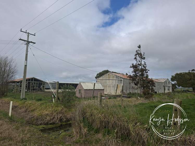 254 Galvin Road Ruawai_16