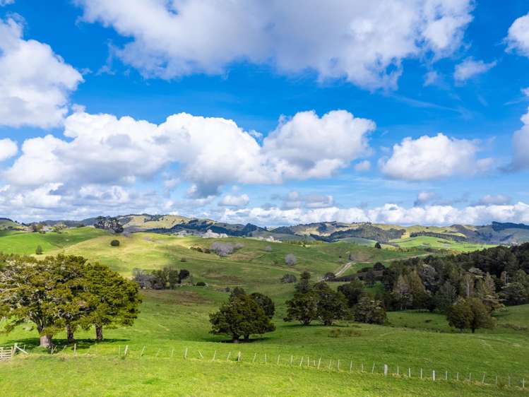 325b Haruru Road Wainui_19