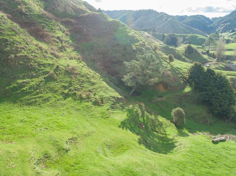 5298 State Highway 4 Waimiha-Ongarue_13