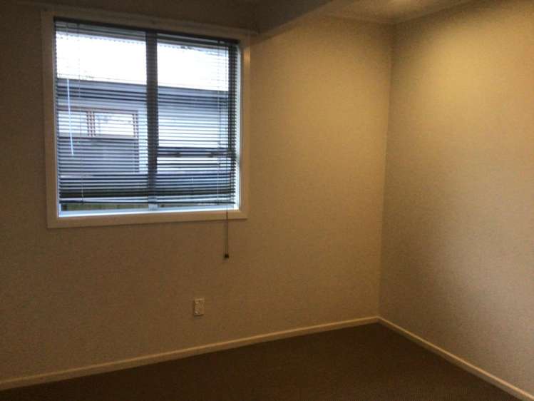 2 Saxton Road Upper Vogeltown_8