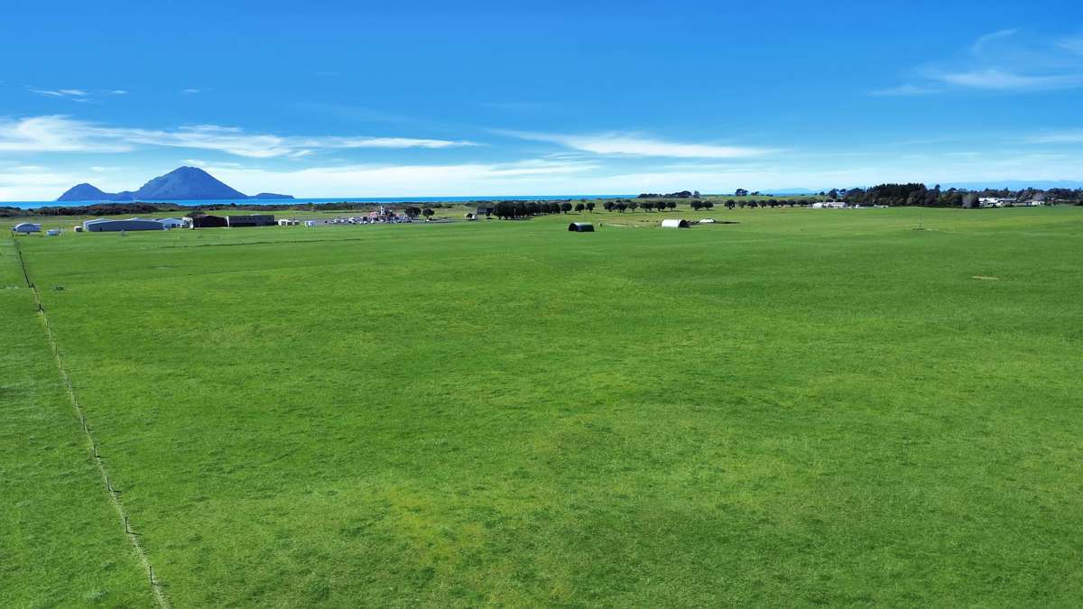 203A Aerodrome Road_2