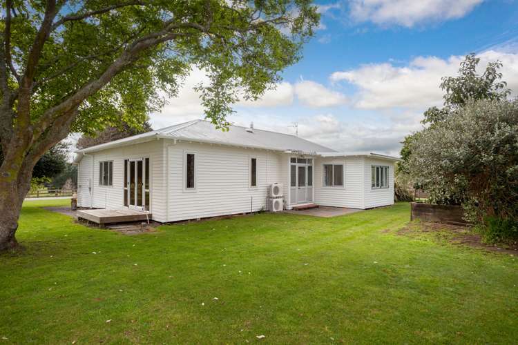 1872A Morrinsville-Walton Road Matamata_15